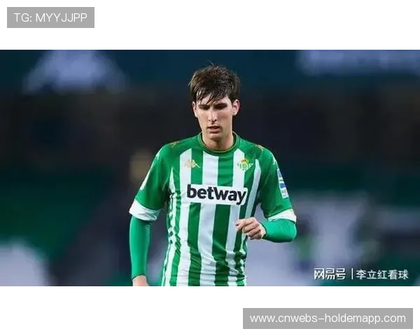 意甲冬季转会窗口总结：俱乐部引援策略与财务平衡